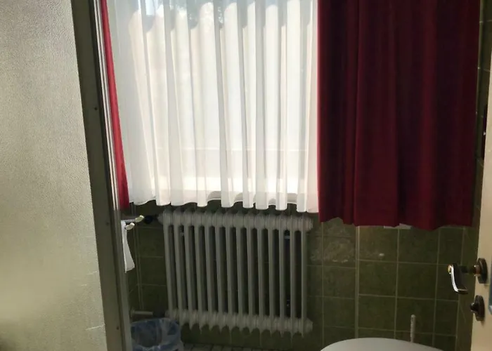 Hotel Pflieger Pocking (Passau)