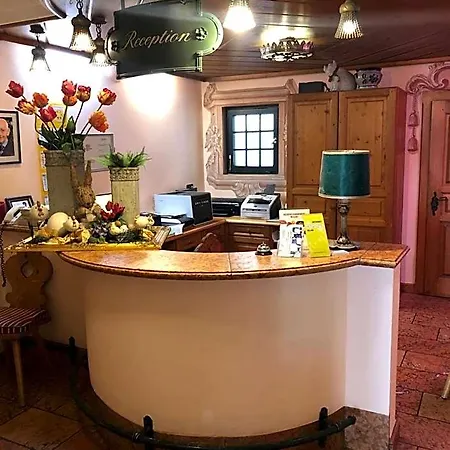 Hotel Pflieger *